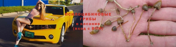 гидра Волоколамск