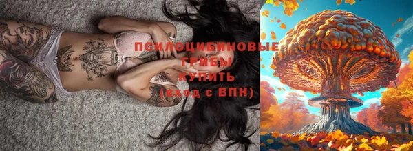 гидра Волоколамск