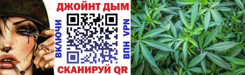 Шишки марихуана конопля  Зеленоградск 